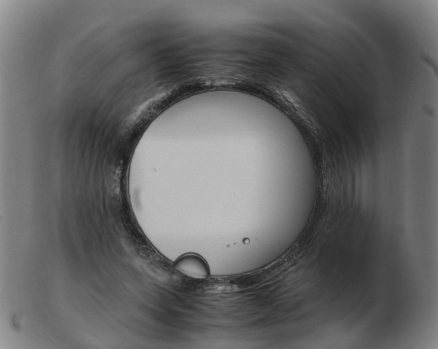 X0000103940543200809191150
