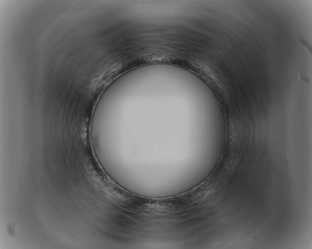 X0000103940545200809191150