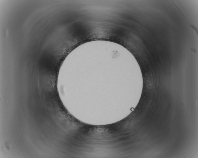 X0000103940546200809191150