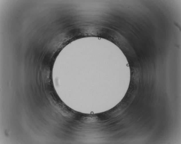 X0000103940548200809191150