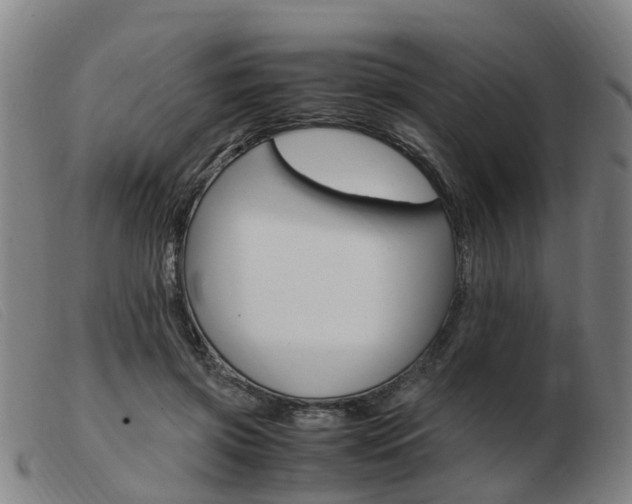 X0000103940549200809191150