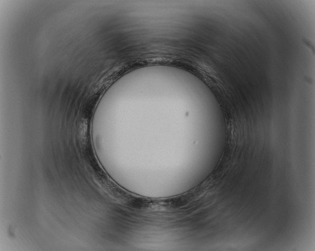 X0000103940550200809191150
