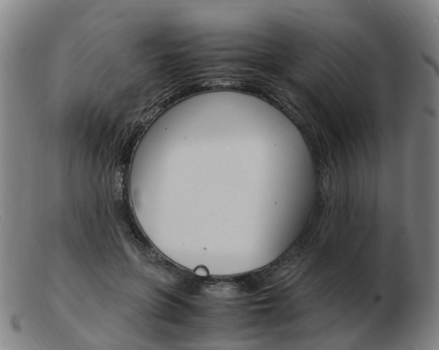 X0000103940551200809191150