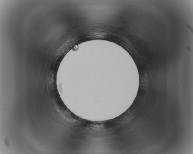 X0000103940552200809191150