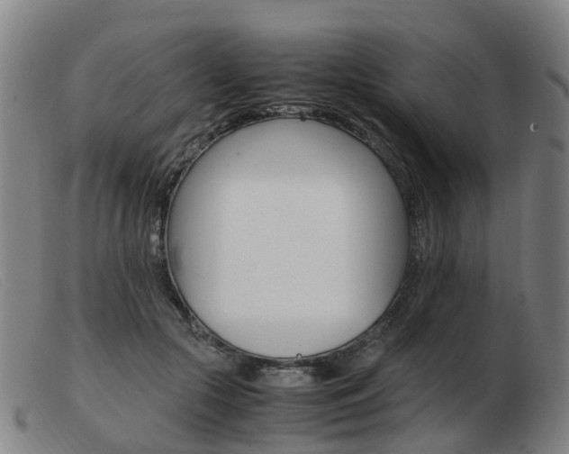 X0000103940553200809191150