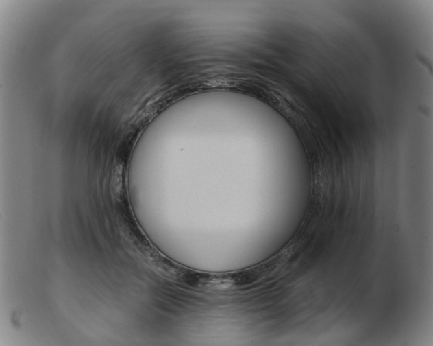X0000103940554200809191150