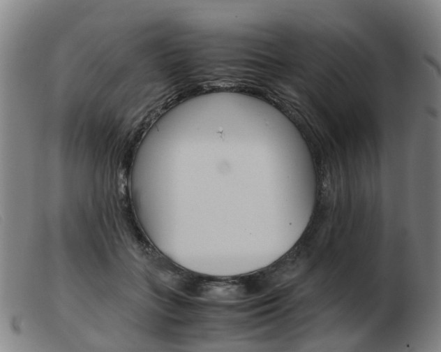 X0000103940555200809191150