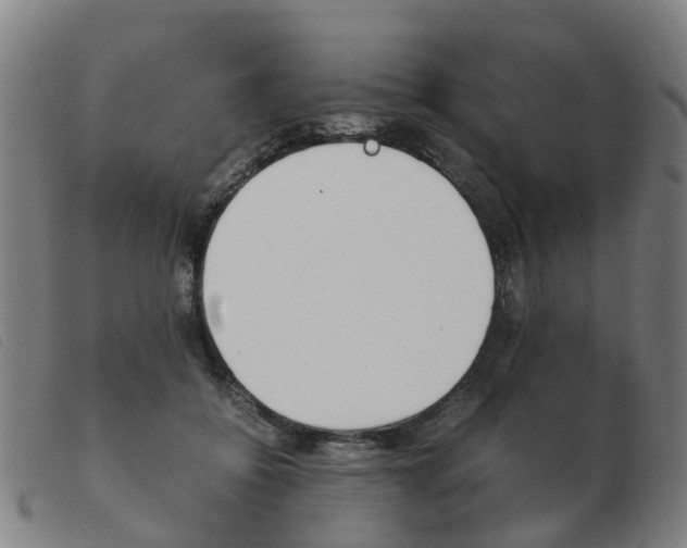X0000103940556200809191150