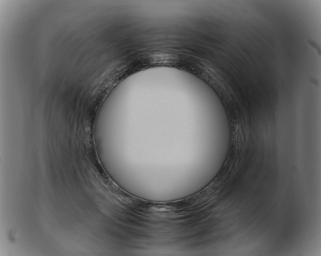 X0000103940557200809191150
