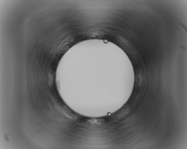X0000103940558200809191150