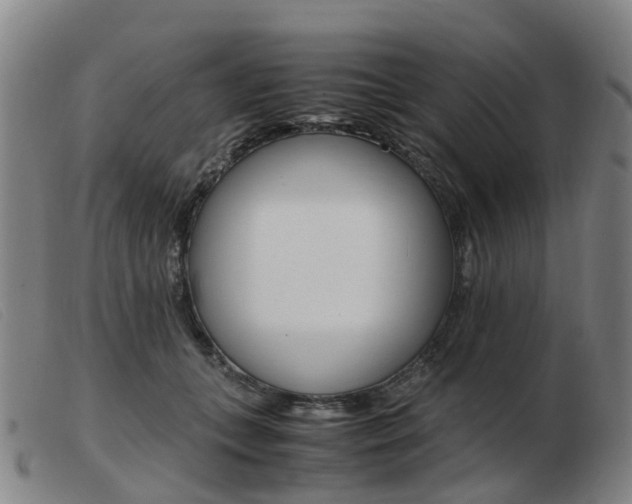 X0000103940559200809191150