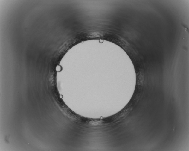 X0000103940560200809191150