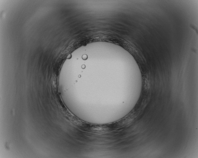 X0000103940561200809191150
