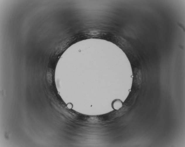 X0000103940562200809191150
