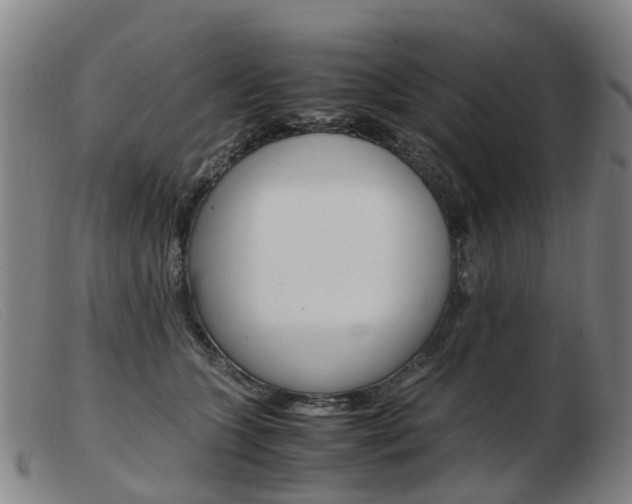 X0000103940563200809191150
