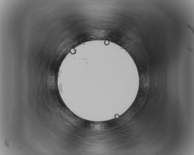 X0000103940564200809191150
