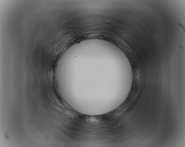 X0000103940565200809191150