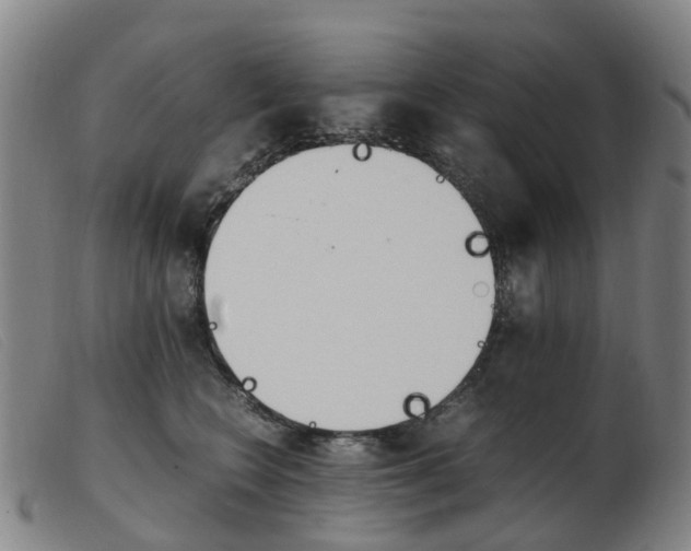 X0000103940566200809191150