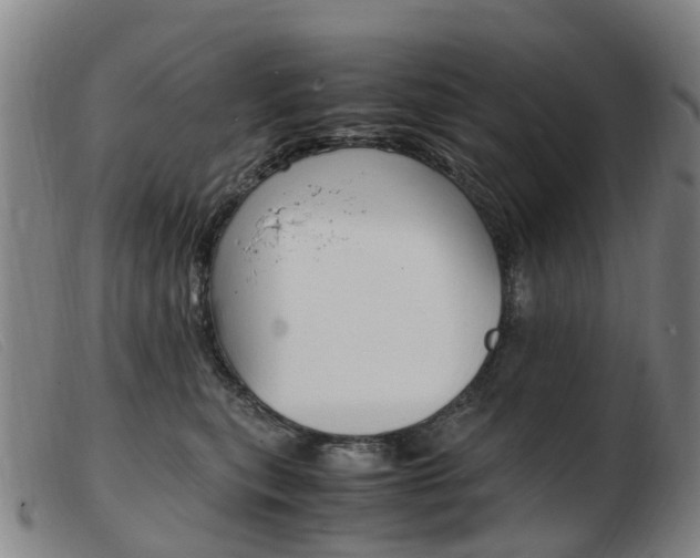 X0000103940567200809191150