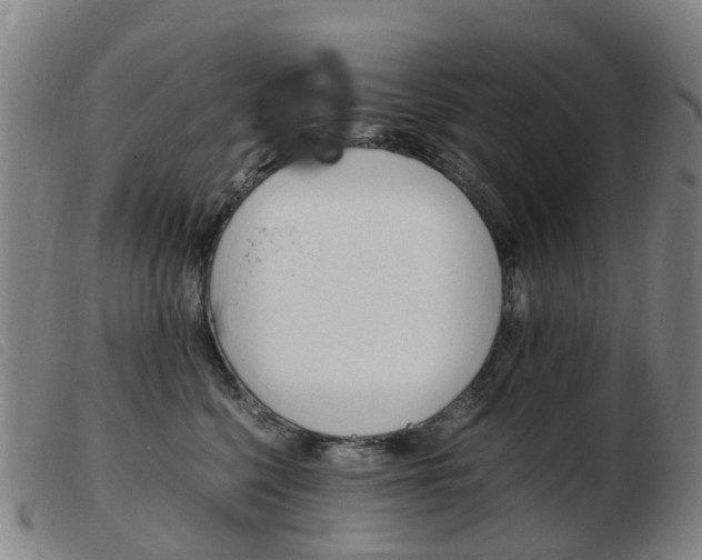 X0000103940568200809191150
