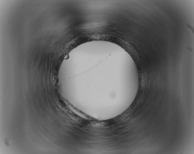 X0000103940569200809191150