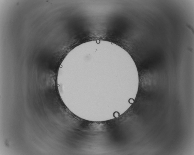 X0000103940570200809191150