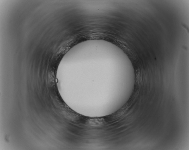 X0000103940571200809191150