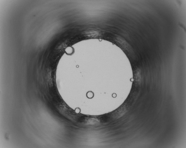 X0000103940572200809191150