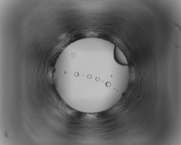 X0000103940573200809191150
