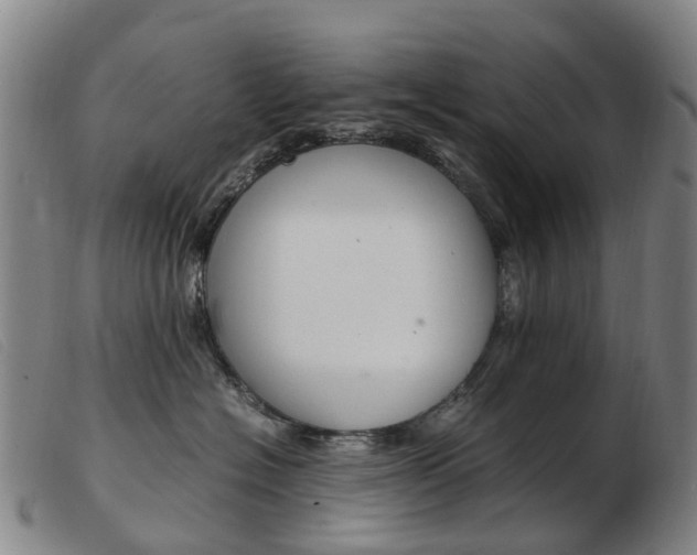 X0000103940574200809191150