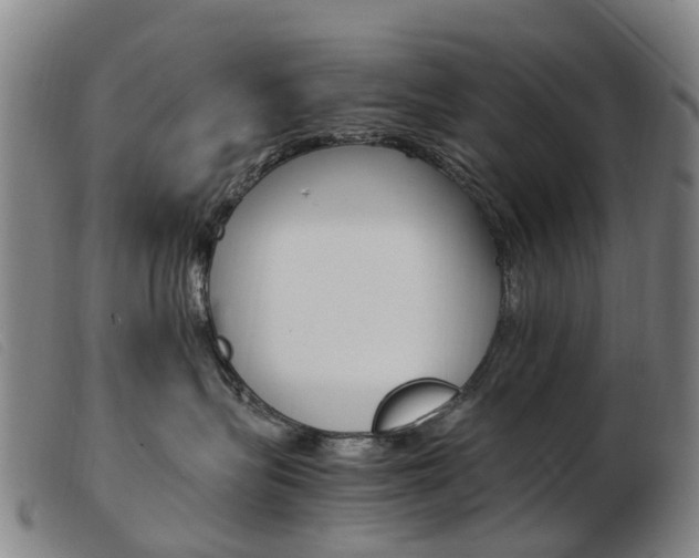 X0000103940575200809191150