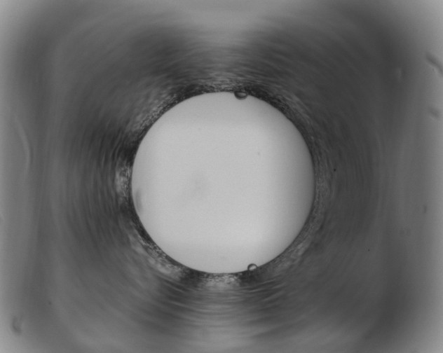 X0000103940576200809191150