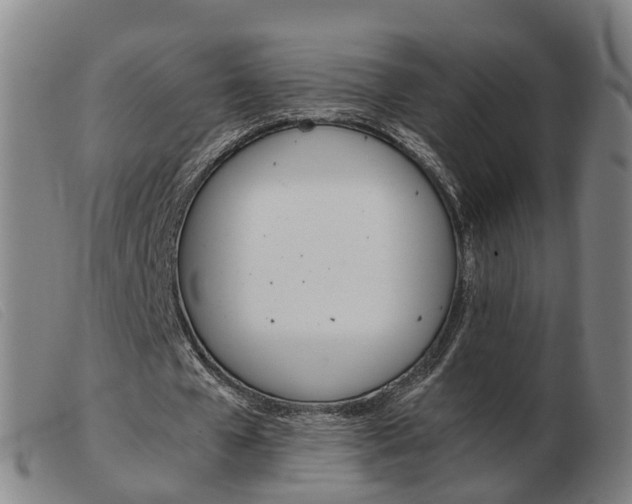 X0000103940577200809191150