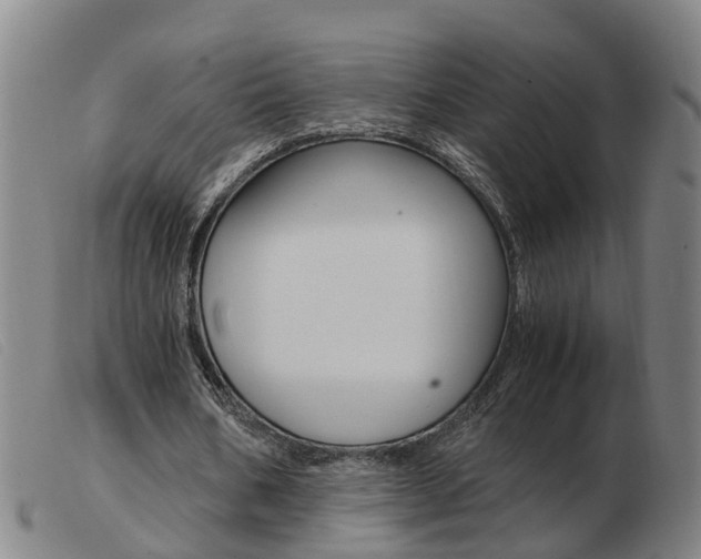 X0000103940578200809191150