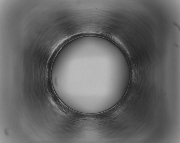 X0000103940580200809191150