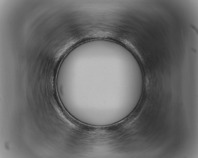 X0000103940581200809191150