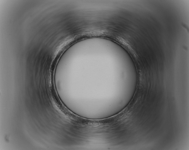 X0000103940582200809191150