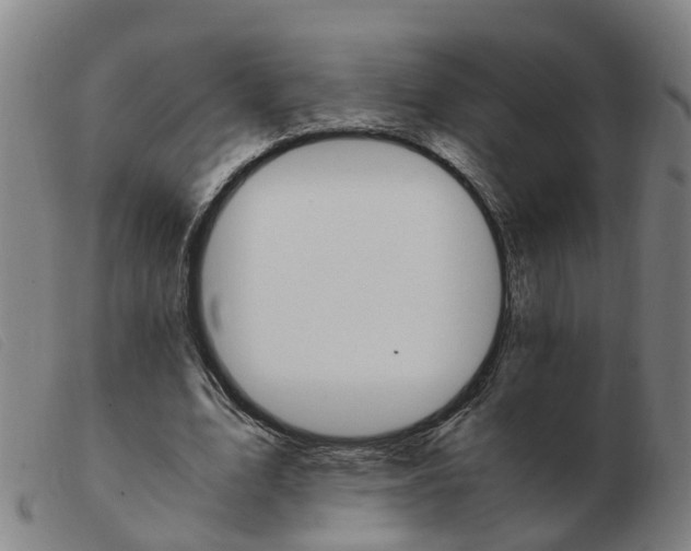 X0000103940583200809191150