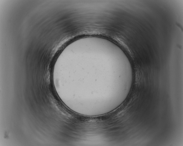 X0000103940584200809191150