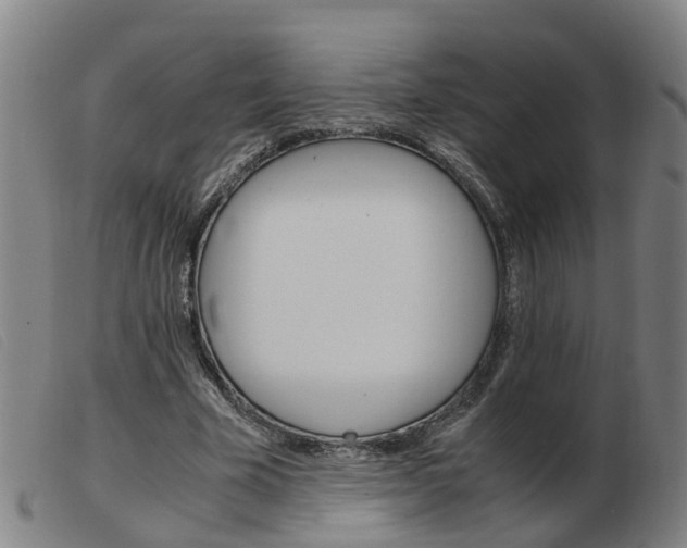 X0000103940585200809191150