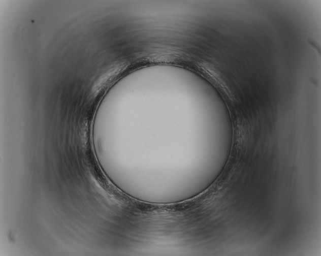 X0000103940586200809191150