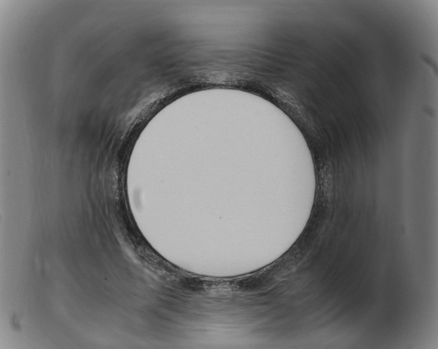X0000103940587200809191150