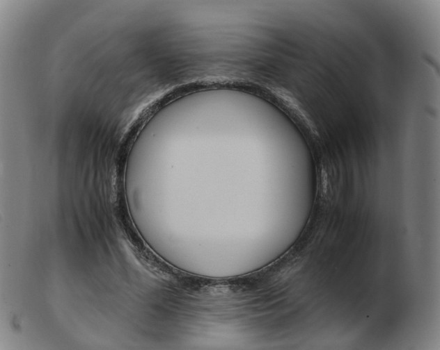 X0000103940588200809191150