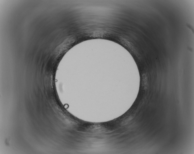 X0000103940589200809191149
