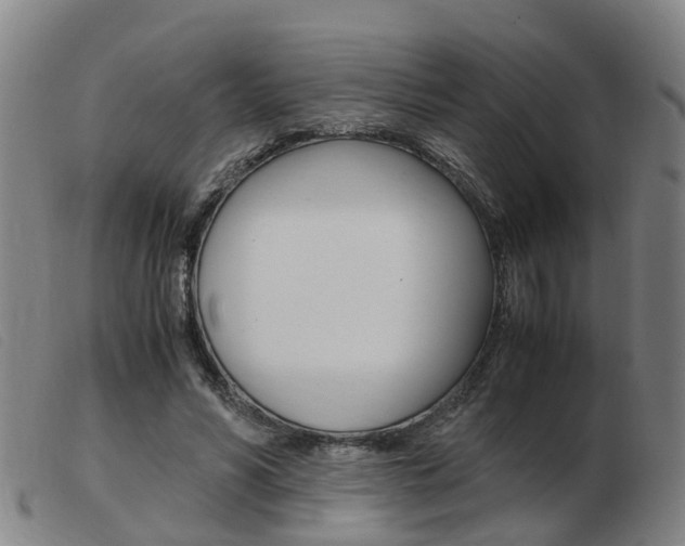 X0000103940590200809191149