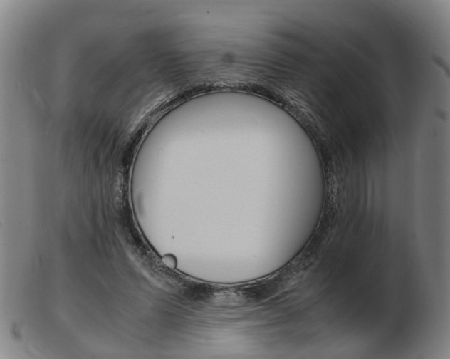 X0000103940591200809191149