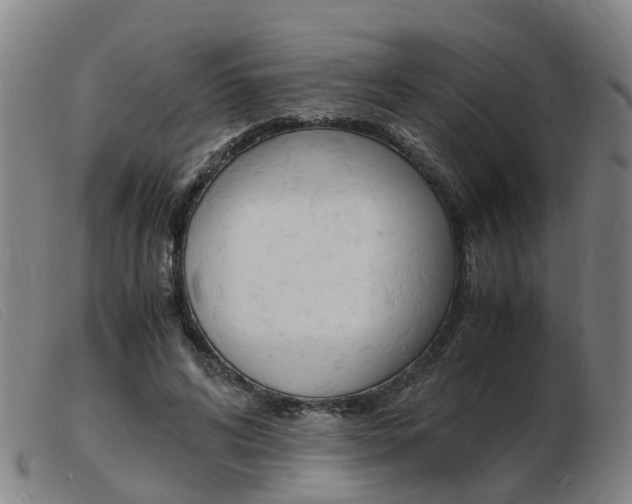 X0000103940592200809191149