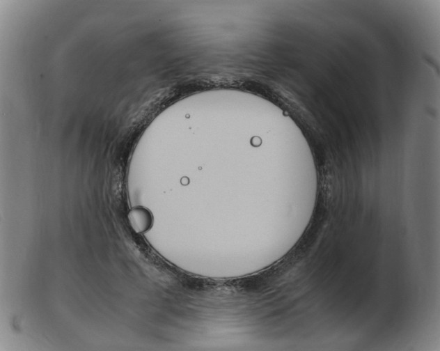 X0000103940593200809191149