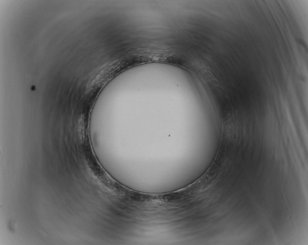 X0000103940594200809191149