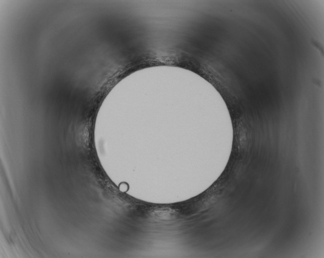 X0000103940595200809191149